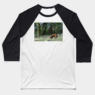 Agouti Baseball T-Shirt